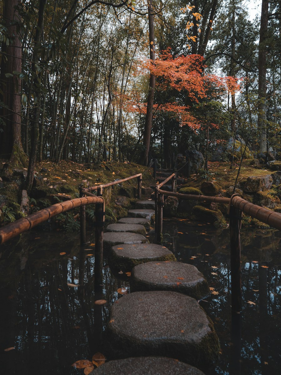 Stepping stones across a pond in an autumn garden