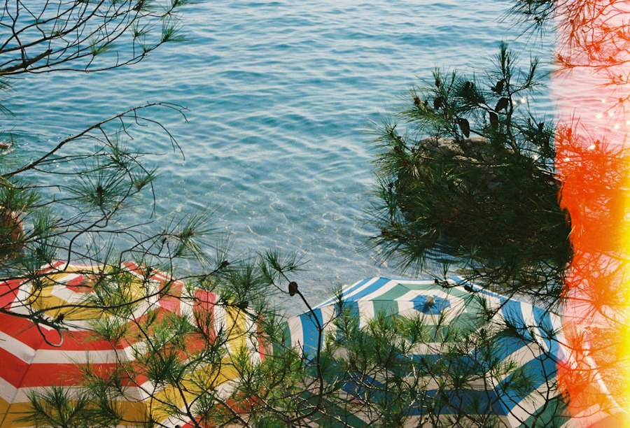Beach umbrellas by the water on film